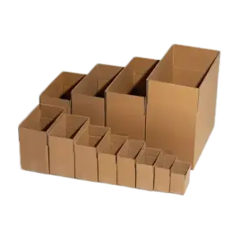 Carton Forming And Bottom Sealing Machine